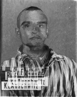 JPEG - 78.2 ko