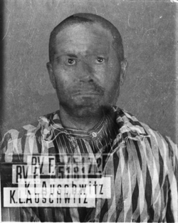 JPEG - 79.1 ko