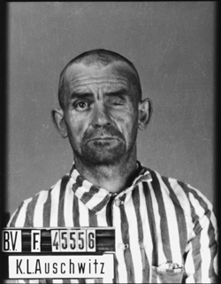 JPEG - 73.1 ko