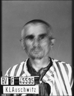 JPEG - 68.8 ko