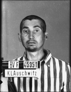JPEG - 72.5 ko