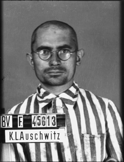 JPEG - 73.5 ko