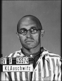 JPEG - 71.1 ko