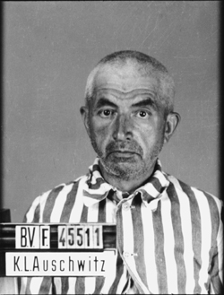 JPEG - 72.5 ko