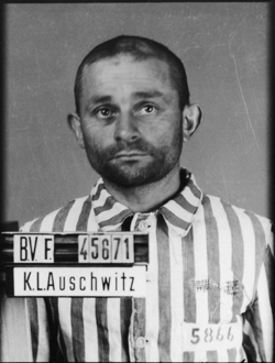JPEG - 73.2 ko