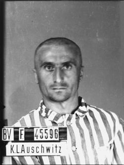 JPEG - 71.1 ko