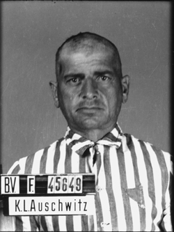 JPEG - 72.4 ko