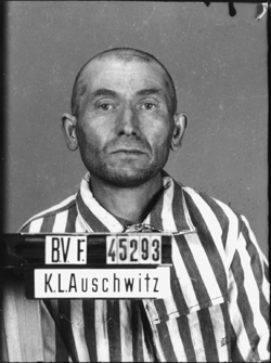 JPEG - 77.3 ko