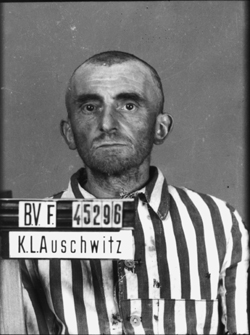 JPEG - 76.3 ko