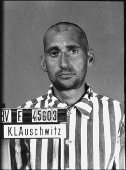 JPEG - 74.2 ko