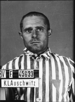 JPEG - 74.6 ko