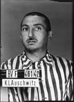 JPEG - 77.2 ko