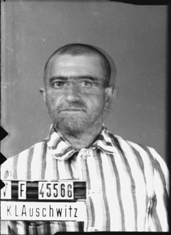 JPEG - 71.8 ko