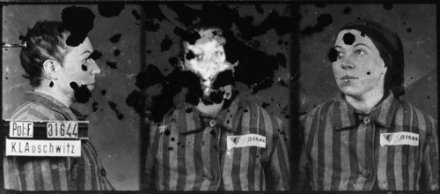 JPEG - 83.1 ko
