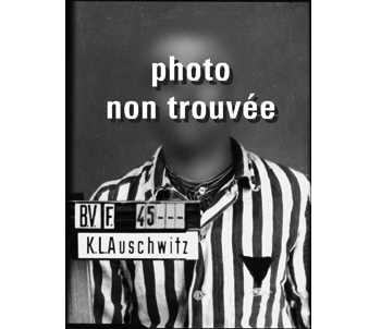 Les SS ont détruit la plupart des archives du KL Auschwitz lors de l’évacuation du camp en janvier 1945. Le portrait d’immatriculation de ce détenu a disparu.