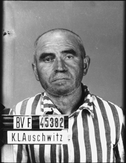 Auschwitz-I, le 8 juillet 1942. Musée d’État d’Auschwitz-Birkenau, Oswiecim, Pologne. Collection Mémoire Vive. Droits réservés.