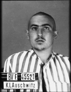 Auschwitz-I, le 8 juillet 1942. Musée d’État d’Auschwitz-Birkenau, Oswiecim, Pologne. Collection Mémoire Vive. Droits réservés.