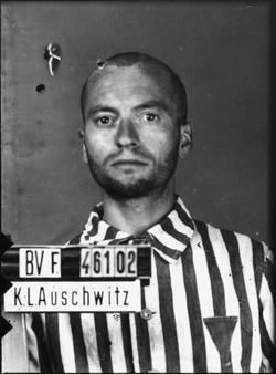 Auschwitz-I, le 8 juillet 1942. Musée d’État d’Auschwitz-Birkenau, Oświęcim, Pologne. Coll. Mémoire Vive. Droits réservés.
