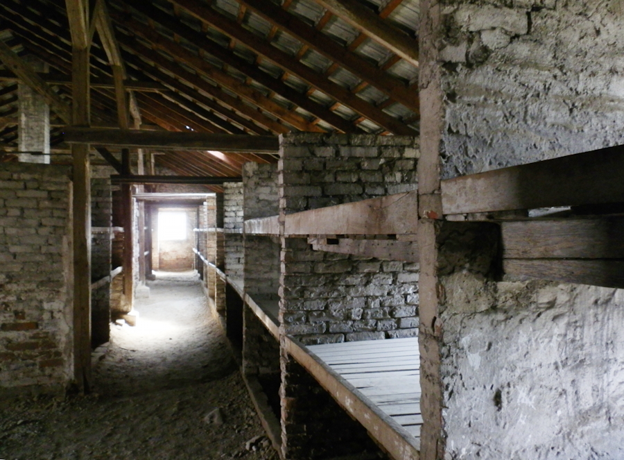 Le Block 26, en briques, dans le sous-camp B-Ia de Birkenau ; perspective entre les châlits. La partie inférieure, au ras du sol, est aussi une “couchette” où doivent s’entasser huit détenues. Les plus jeunes montent à l’étage supérieur, où il est possible de s’assoir. Photo © Mémoire Vive.