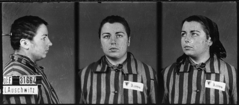 Photographiée à Auschwitz-I, le 3 février 1943. Musée d’État d’Auschwitz-Birkenau, Oświęcim, Pologne. Collection Mémoire Vive. Droits réservés.