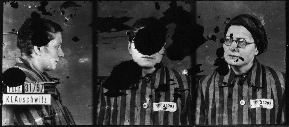 Photographiée à Auschwitz-I, le 3 février 1943, selon les trois vues anthropométriques de la police allemande. Musée d’État d’Auschwitz-Birkenau, Oświęcim, Pologne. Collection Mémoire Vive. Droits réservés.