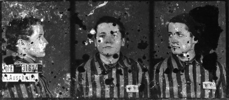 Photographiée à Auschwitz-I, le 3 février 1943. Musée d’État d’Auschwitz-Birkenau, Oświęcim, Pologne. Collection Mémoire Vive. Droits réservés.