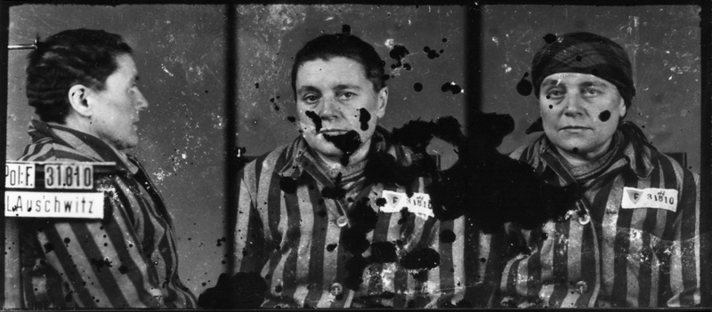 Photographiée à Auschwitz-I, le 3 février 1943. Musée d’État d’Auschwitz-Birkenau, Oświęcim, Pologne. Collection Mémoire Vive. Droits réservés.
