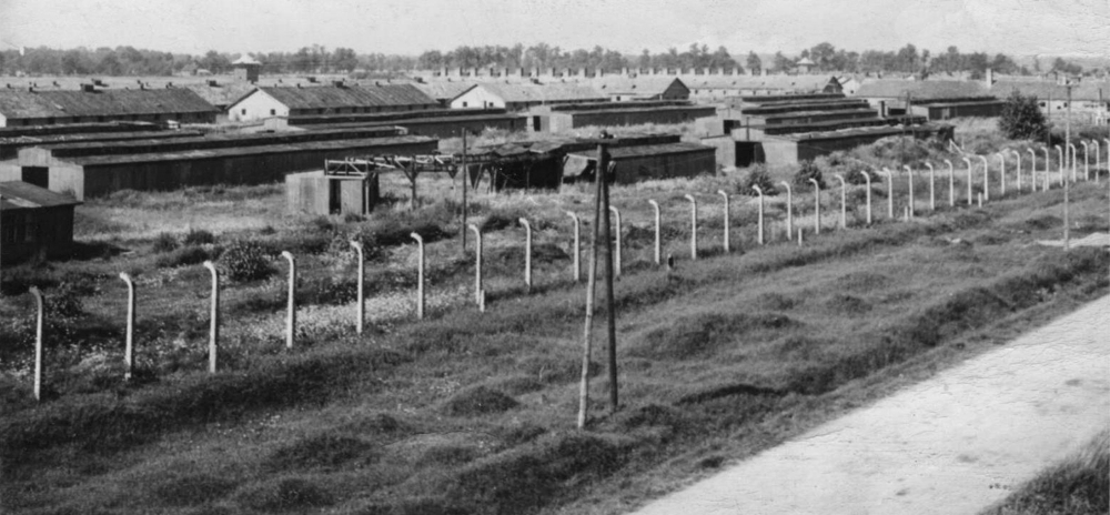 Birkenau. Probablement une vue du secteur BII-a pu de temps après la guerre. Beaucoup de baraques en bois ont encore leurs toits et leurs cloisons. © collection Dominique Martin, droits réservés.