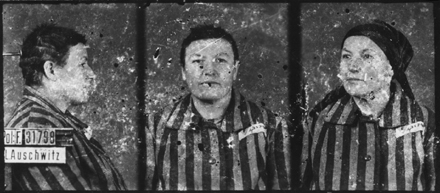 IDENTIFICATION INCERTAINE… C’est de manière hypothétique et déductive qu’est donné à voir le portrait de cette détenue, photographiée à Auschwitz-I le 3 février 1943, et que personne n’a identifiée. Musée d’État d’Auschwitz-Birkenau, Oświęcim, Pologne. Collection Mémoire Vive. Droits réservés.